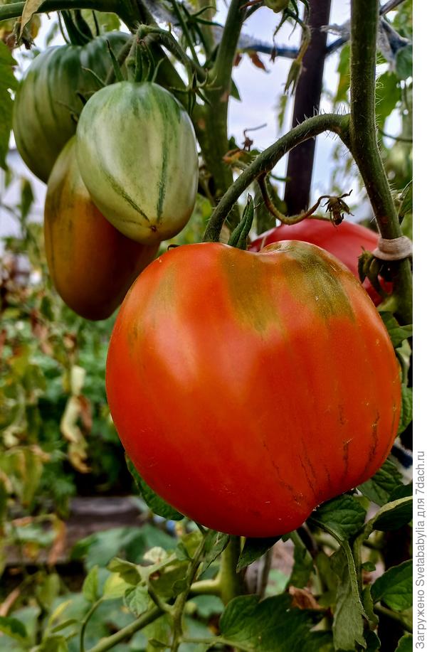 Конец августа