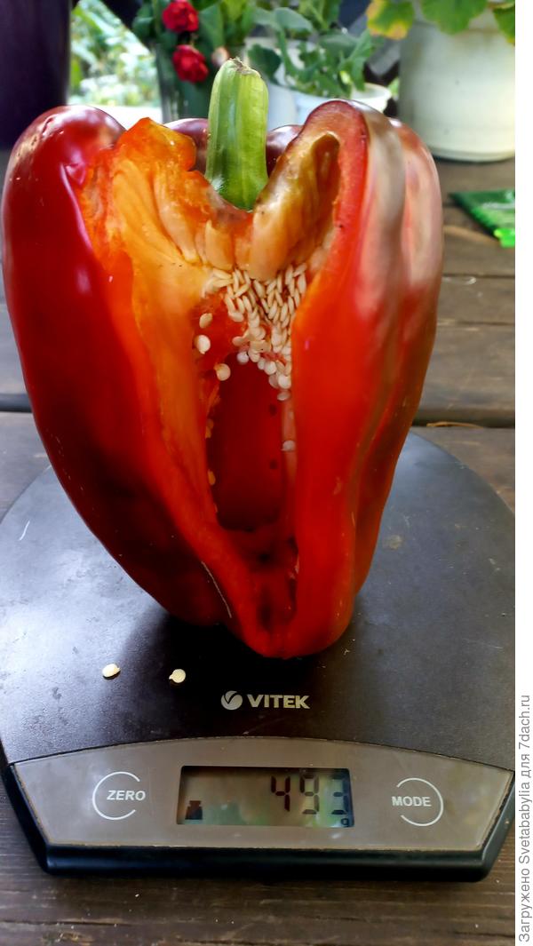 Как вам такой?