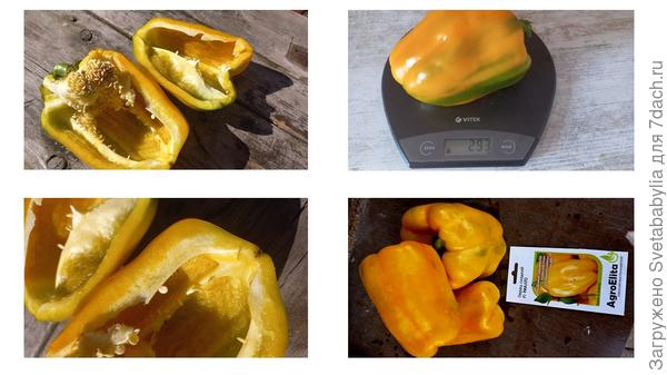 Толщина стенки 7-10 мм