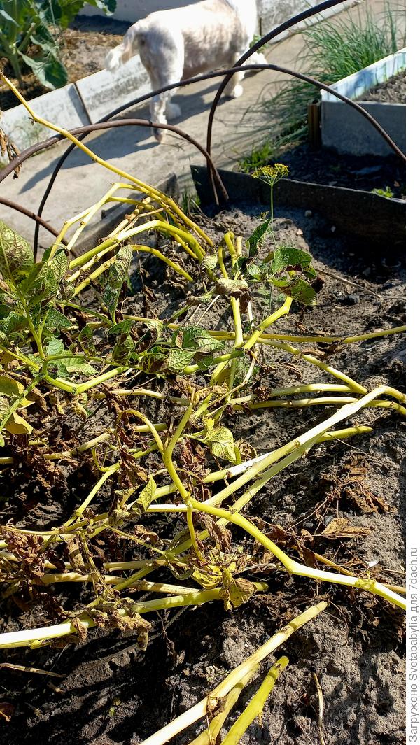 пора убирать