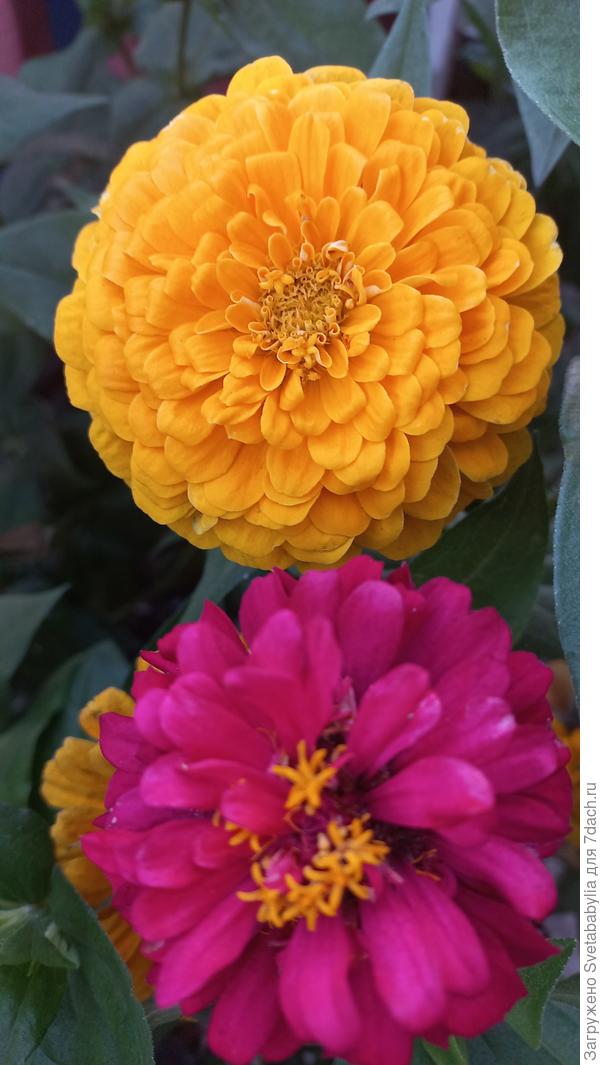 У нас пока так