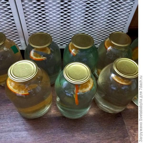 Первая партия