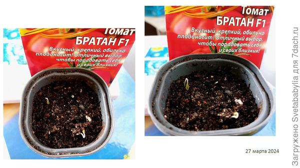 ппп