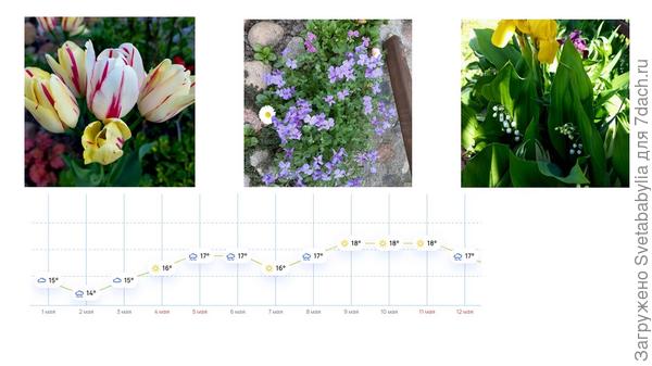 погоды в мае