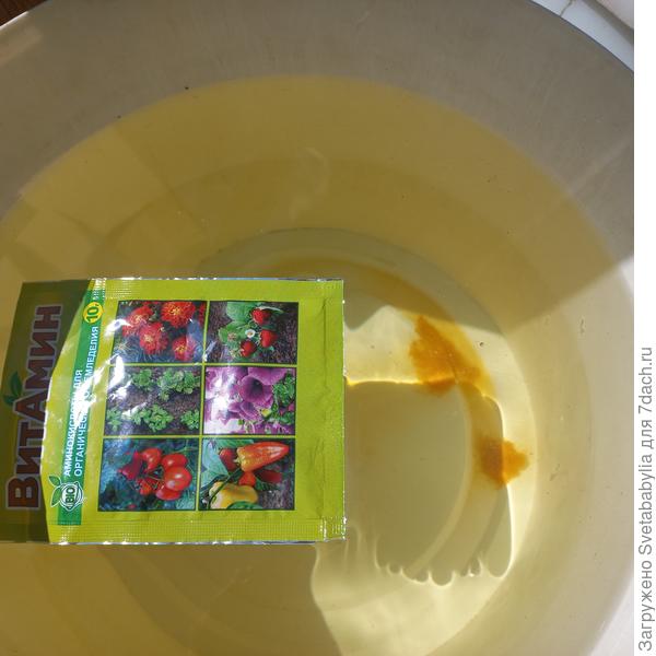 через неделю