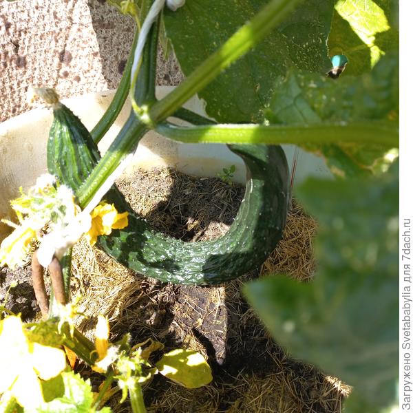 Темная ночь