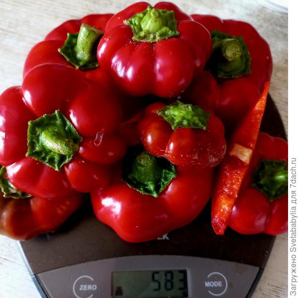 урожай 03 сентября