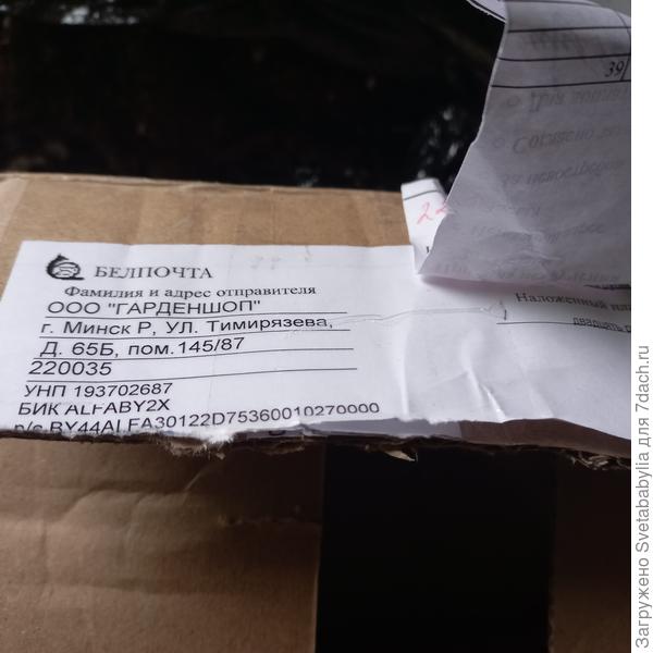 Отправитель