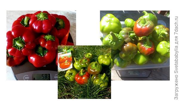 Пару неучтенных точно было