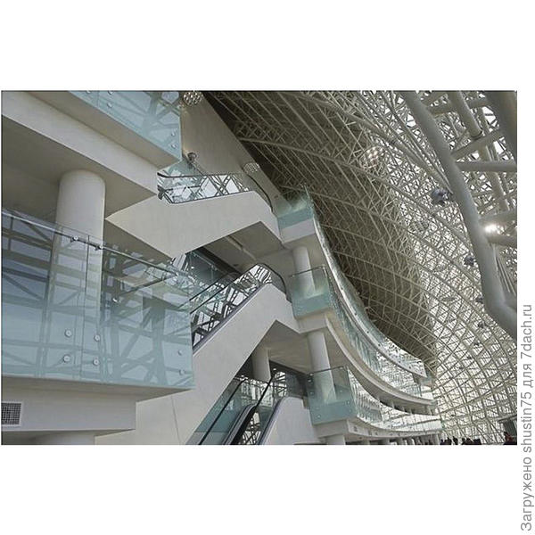 Большая ледовая арена в Сочи