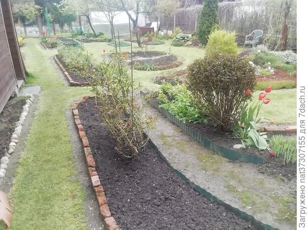 Рабатки, по краям соль