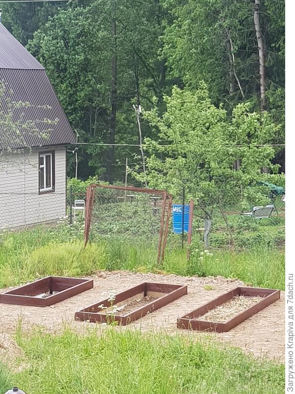 заполнили органикой