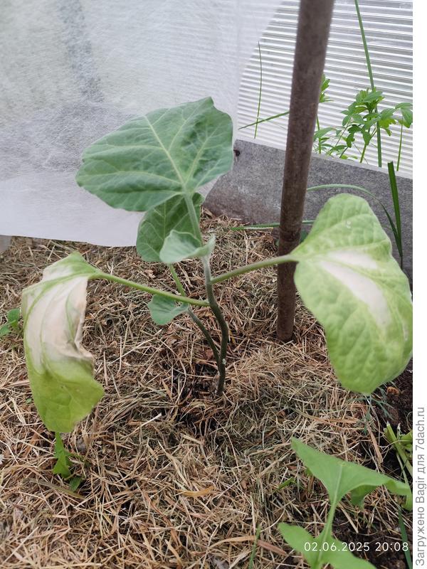 Вот. Еле разобралась, как фото сделать и отправить)