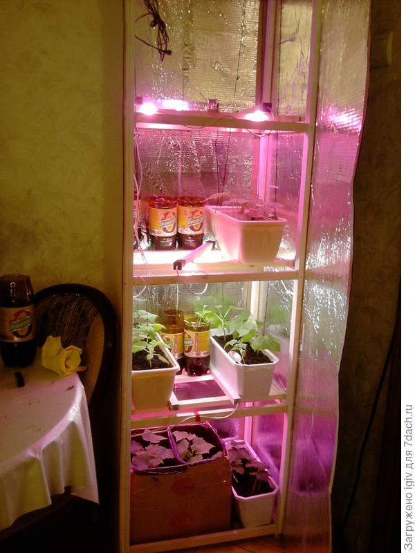 Мой фито модуль 2017 г.