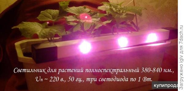 Фито светильник линейный.