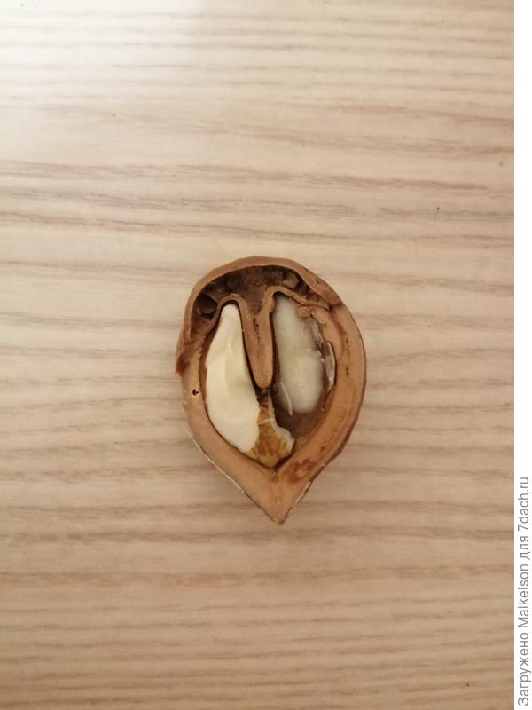 Вот внутренности