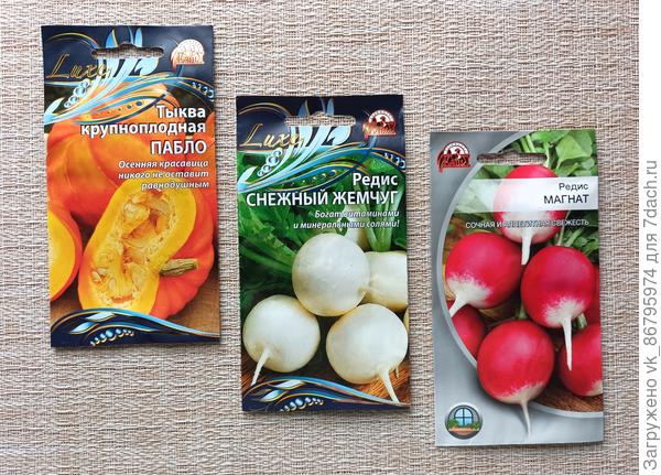 Семена тыквы и редиса