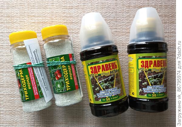 Триходерма и Здравннь-акава