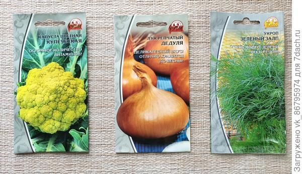 Мой выбор семян для тестирования