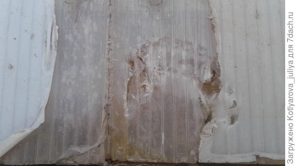 Зубы. Как будто челюсть длинная