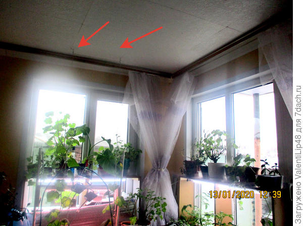 Комната , где всегда выращиваются растишки.