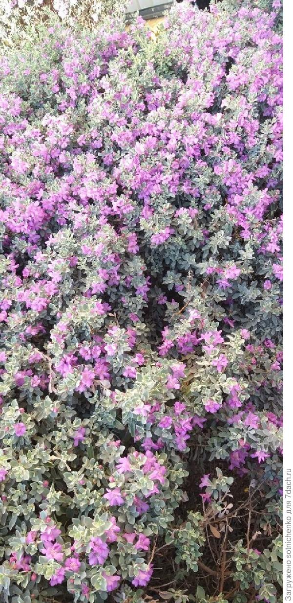 Еще одно фото.