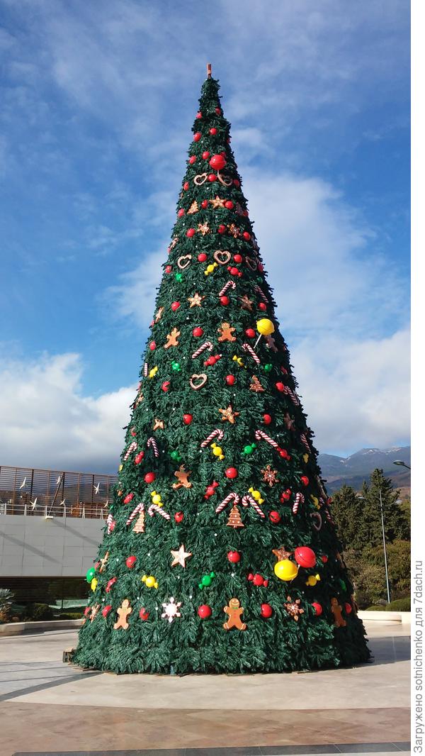 Нарядили елку для детей.