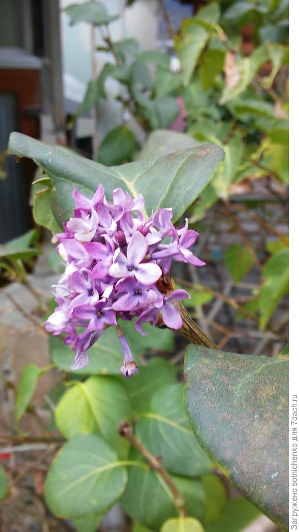 Посимпатичнее получилось.