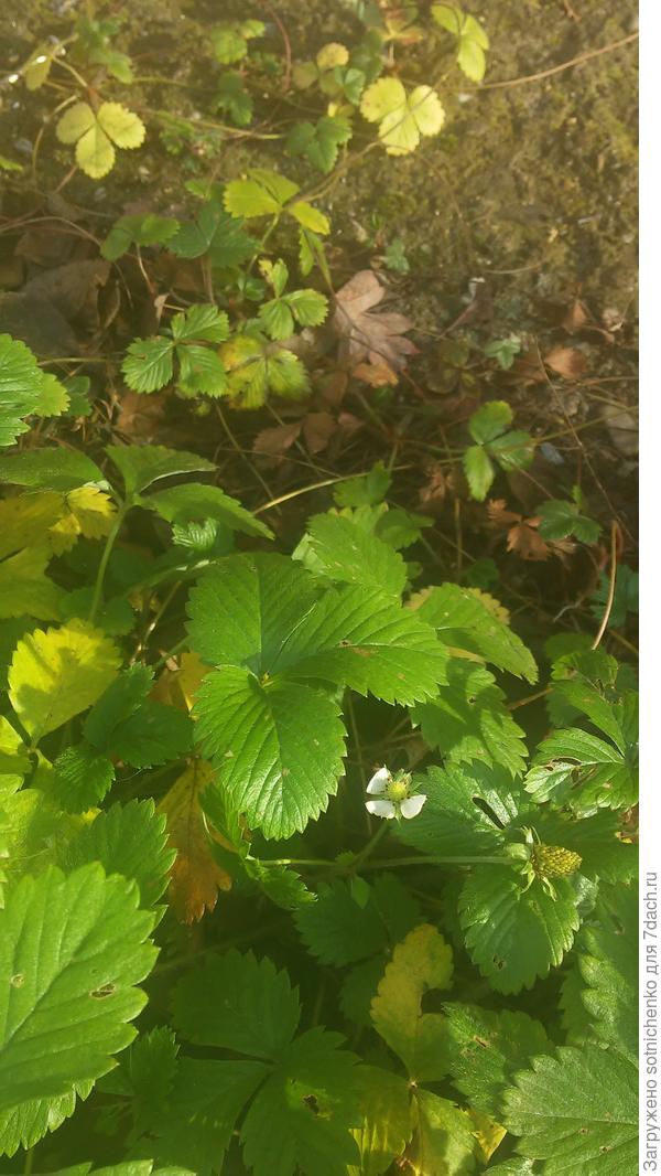 Сегодняшнее фото.