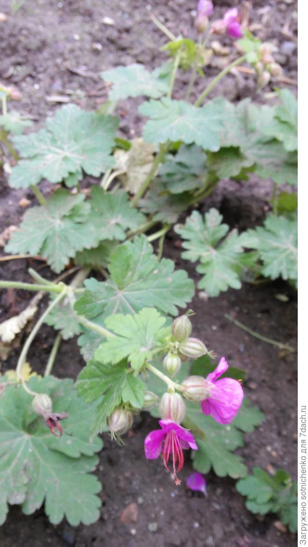 Сегодняшнее фото.