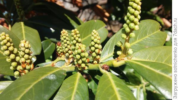 Сегодняшнее фото.