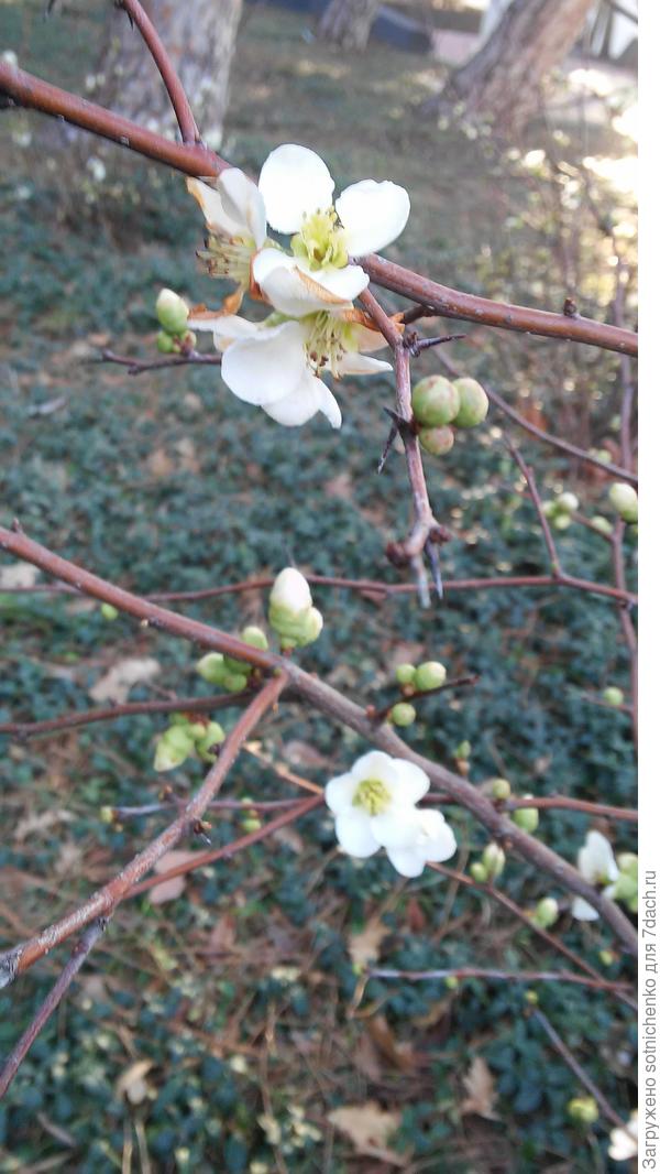 Вчерашнее фото.