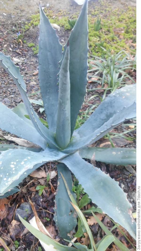 Сегодняшнее фото.