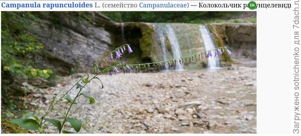 Фото с плантариума.