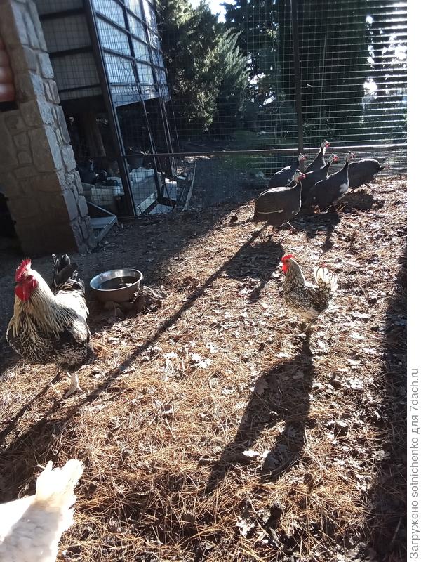 Сегодняшнее фото.