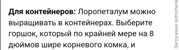 Информация из интернета.