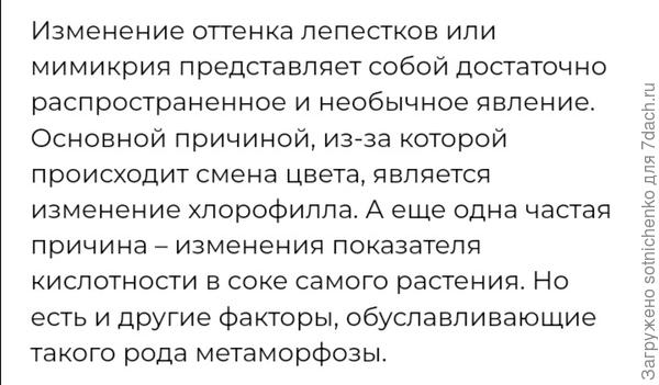 Информация из интернета.