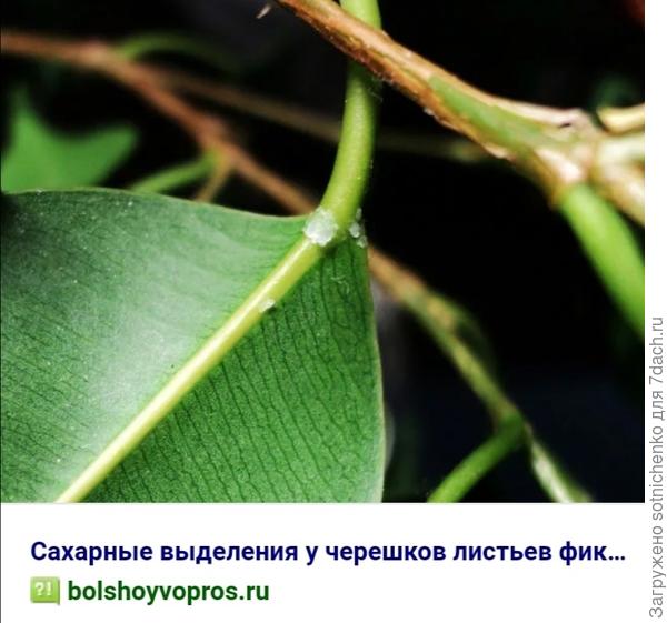 Можете посмотреть информацию на этом сайте.