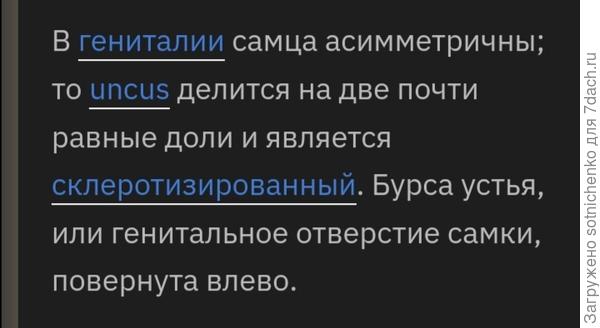 На сайте ru. zahn-info-portal. de.