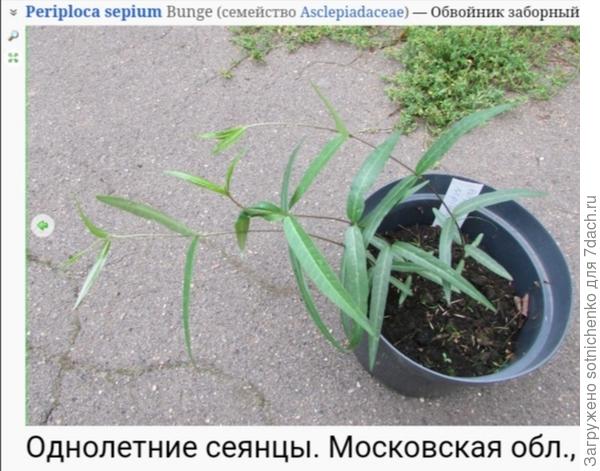 Фото на сайте Поантариум