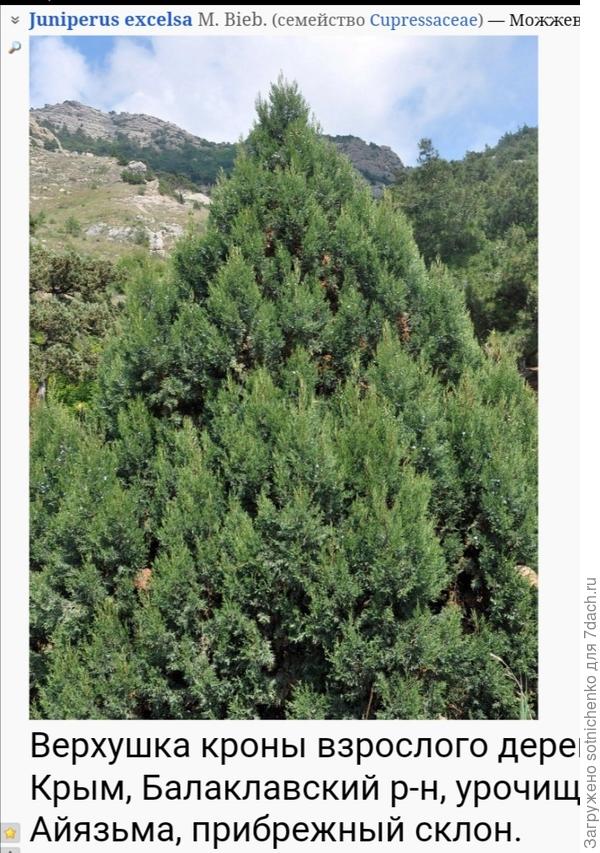 Сайт Плантариум.