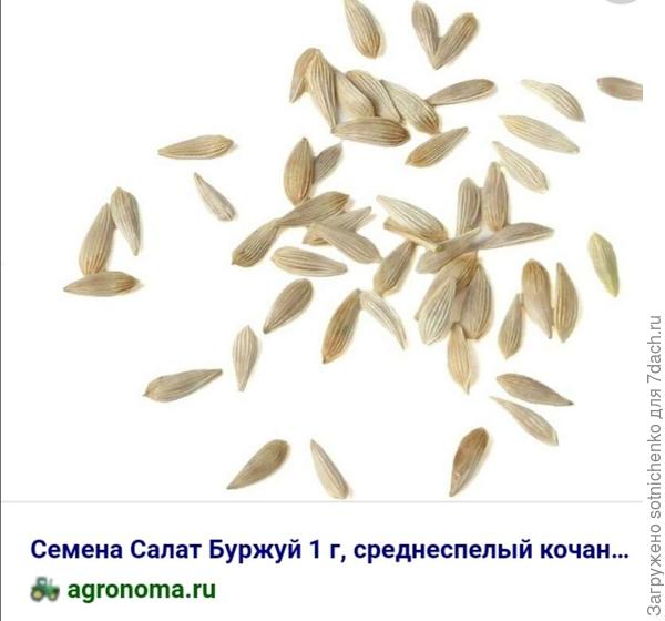 Фото для сравнения взяты из интернета.