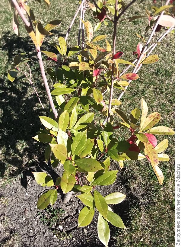 У крайней явно какие-то проблемы.