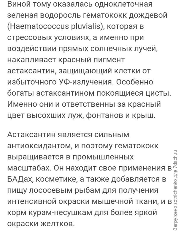 Информация из интернета.