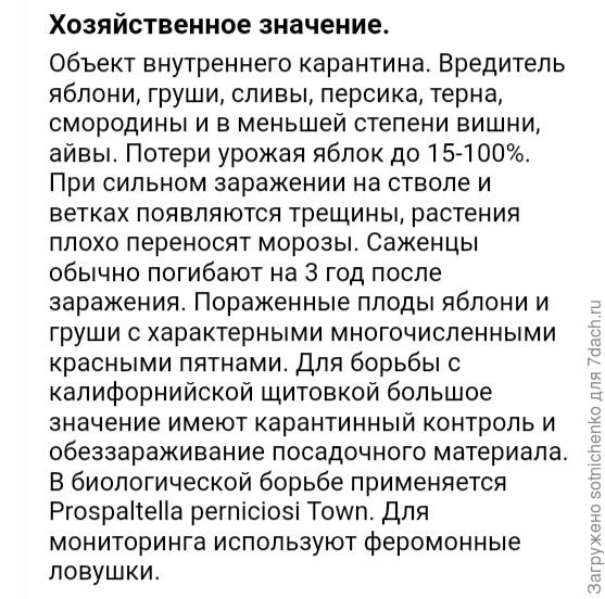 Информация из интернета.