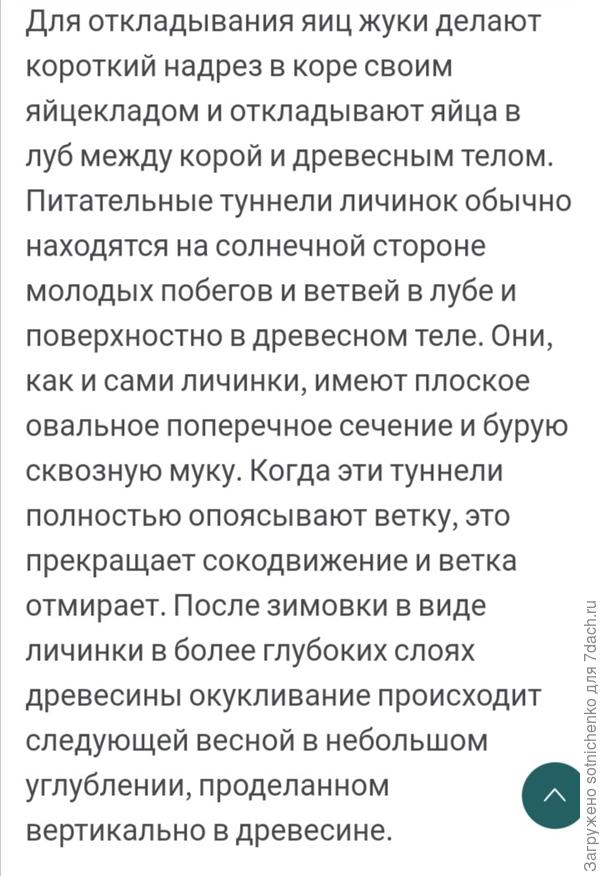 Немного информации из интернета.