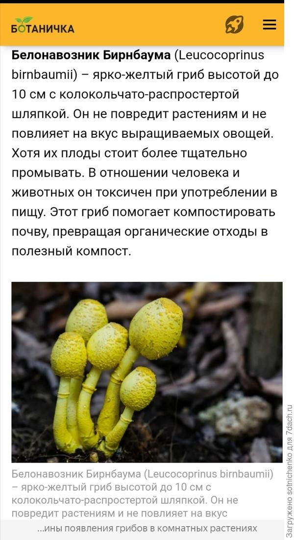 Информация на сайте Ботаника.