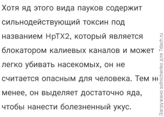 Информация из интернета.