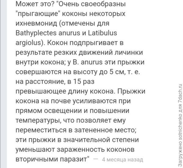 Информация на сайте bolshybopros. ru