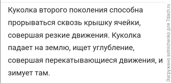 Информация на сайте Википедия.